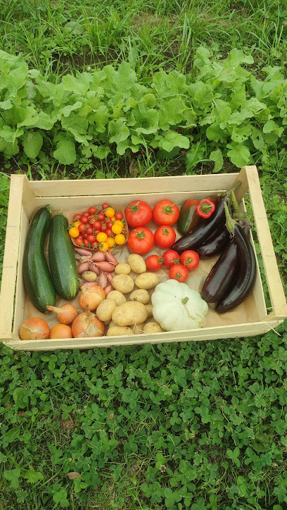 La Touche Végétale, Primeur - Fruits Et Légumes à Louisfert