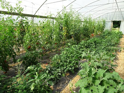 Le Potager De Rédéné, Primeur Fruits et Légumes à Rédené