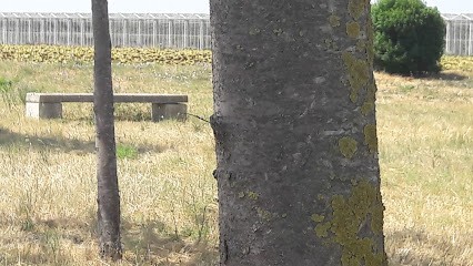 Provence Plants, Primeur Fruits et Légumes à Tarascon