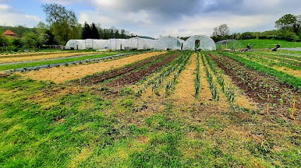 Les Légumes De David, Primeur Fruits et Légumes à Loison-sur-Créquoise