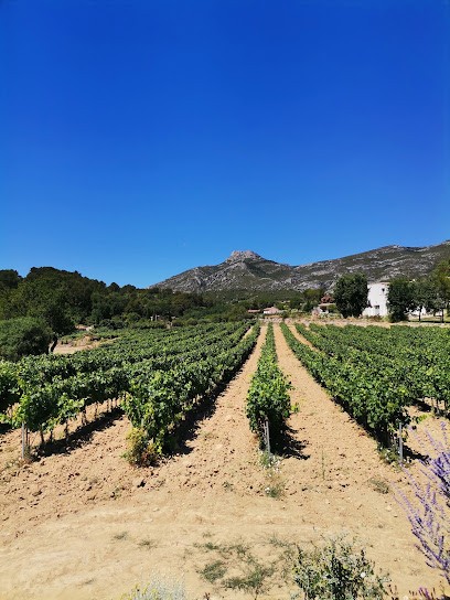 Famille Long producteurs, Primeur Fruits et Légumes à Roquevaire