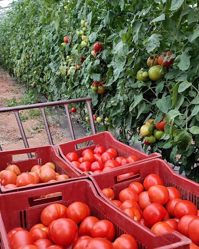 Gaec Laporte, Primeur Fruits et Légumes à Bayonne