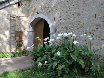 Jardins Du Retour Aux Fourches, Primeur Fruits et Légumes à Saint-Faust