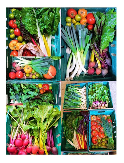 La Ferme De Laboup, Primeur - Fruits Et Légumes à Ayguetinte