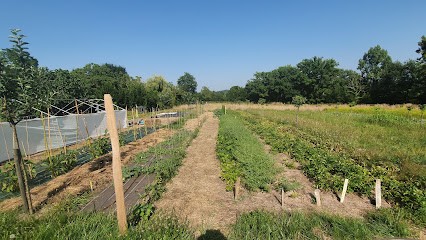 Microferme Le Rocher, Primeur Fruits et Légumes à Miélan