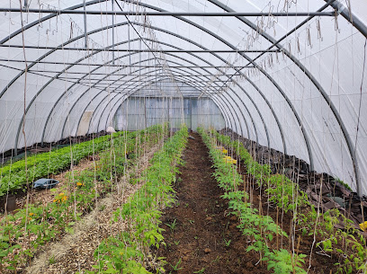 Le Potager De La Maronne, Primeur - Fruits Et Légumes à Saint-Julien-aux-Bois