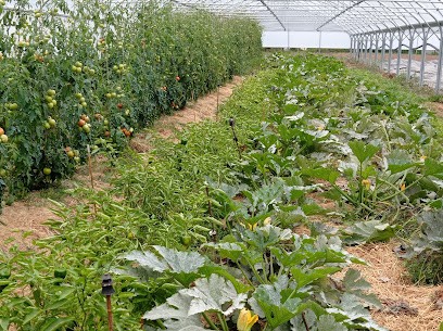 Ferme de la Touche Audienne, Primeur Fruits et Légumes à Bourg-des-Comptes
