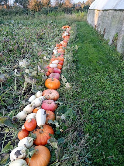 Ferme Charles, Primeur Fruits et Légumes à Laventie
