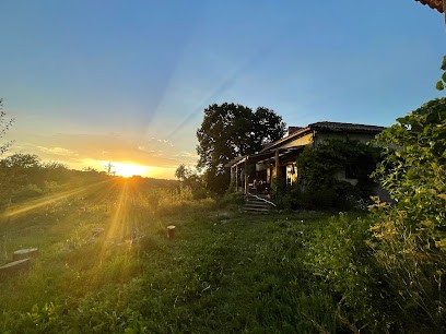 Jardins de la joalle, Primeur Fruits et Légumes à Saint-Saud-Lacoussière