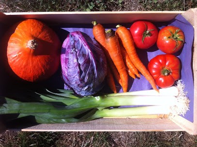 La ferme des Tuileries, Primeur Fruits et Légumes à Saint-Éloy-les-Tuileries
