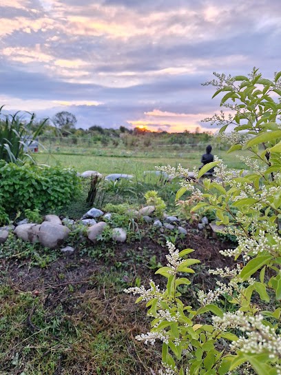 Permaculture En Béarn, Primeur Fruits et Légumes à Sauvagnon