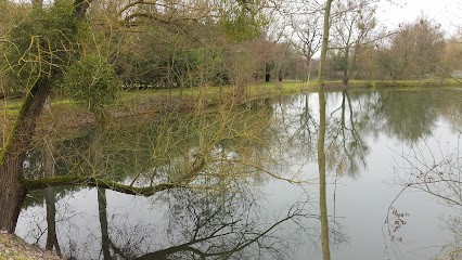 Devarieux Pascal, Primeur Fruits et Légumes à Vailly-sur-Aisne