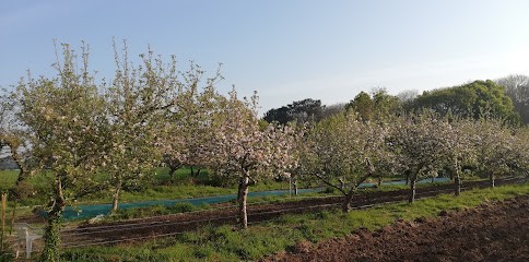 Ty Tropik, Primeur Fruits et Légumes à Plomeur