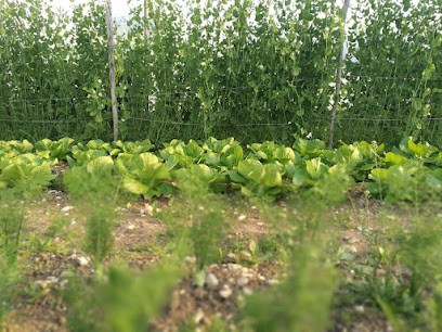 GAEC du Vallon d'Andignac, Primeur Fruits et Légumes à Vindrac-Alayrac