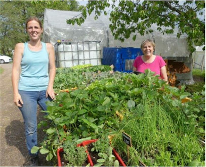 Mon Potager Fraxinien, Primeur - Fruits Et Légumes à Fraize