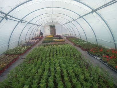 Delaume Pascal, Primeur Fruits et Légumes au Blanc