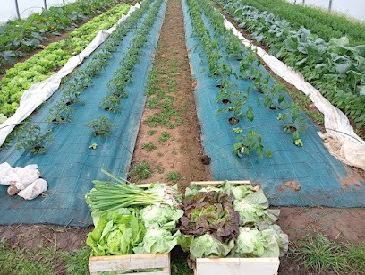 La Ferme Des Olivoux, Primeur Fruits et Légumes à Aubas