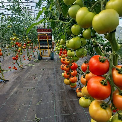 Estelle FREMONT Maraîchage, Primeur Fruits et Légumes à Amayé-sur-Orne