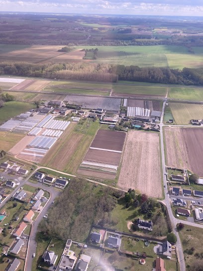 Harlot Stéphane, Primeur Fruits et Légumes à Saint-Martin-le-Beau