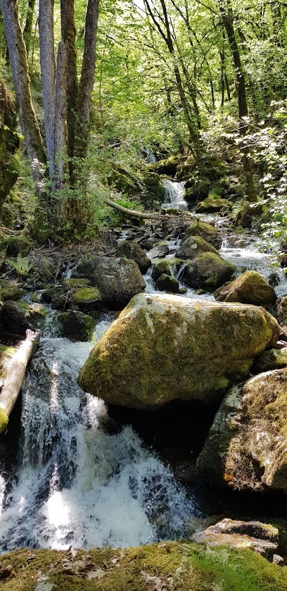 Le potager de Guillaume, Primeur Fruits et Légumes à Roussillon-en-Morvan