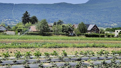 Les Jardins Du Nant Bruyant, Primeur Fruits et Légumes à La Motte-Servolex