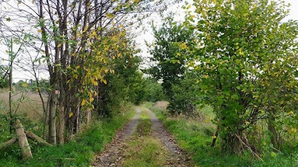 La ferme du Tilleul, Primeur Fruits et Légumes à Notre-Dame-de-Livoye
