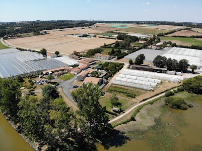 Terres Et Vie SCEA, Primeur Fruits et Légumes à Maché