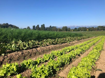 Aux Légumes de Saison, Primeur Fruits et Légumes à Veigy-Foncenex