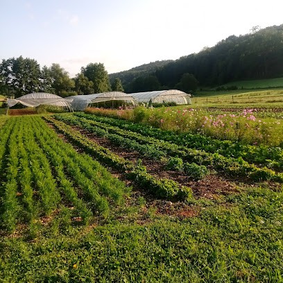 Le maraîcher de bourcia, Primeur Fruits et Légumes à Val Suran