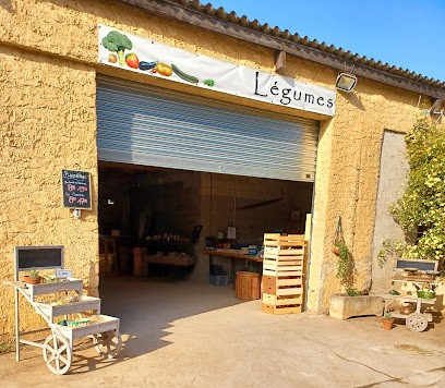 Bolle Edouard producteur Les Frères Bolle, Primeur Fruits et Légumes à Bagnols-sur-Cèze
