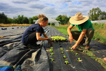 Les Légumes Du Sap, Primeur Fruits et Légumes à Sap-en-Auge