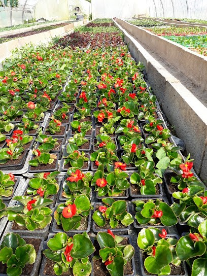 Sicard Marie-Claude, Primeur Fruits et Légumes à Bergerac