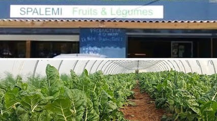 Spalemi Fruit & Vegetables, Primeur Fruits et Légumes à Saint-Maximin-la-Sainte-Baume