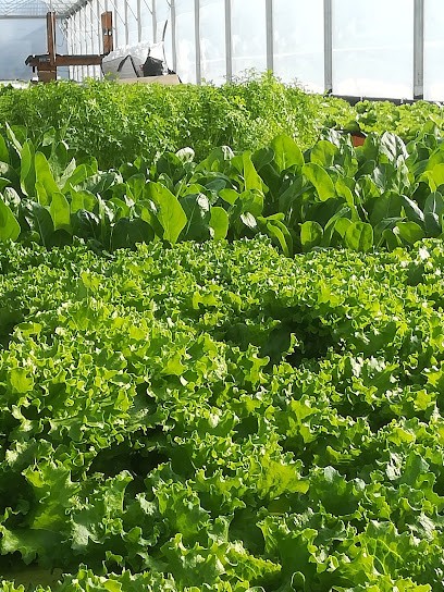 Le Potager des Poissons, Primeur Fruits et Légumes à Agris