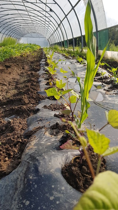 La Paysannerie, Primeur Fruits et Légumes à Reignier-Ésery