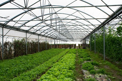 Ferme De La Métairie Neuve, Primeur Fruits et Légumes à Rouvres-les-Bois
