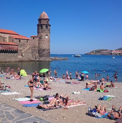 Le Soleil Catalan, Primeur Fruits et Légumes à Saint-Estève