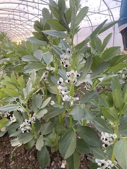 L'Ouche De Tesson, Primeur Fruits et Légumes à Virson