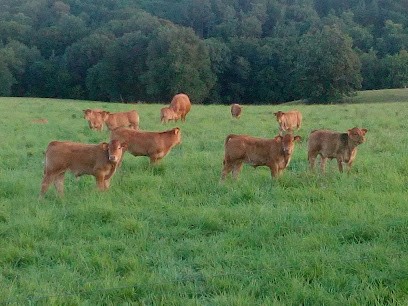 Antoni Ludovic, Primeur Fruits et Légumes à Seilhac
