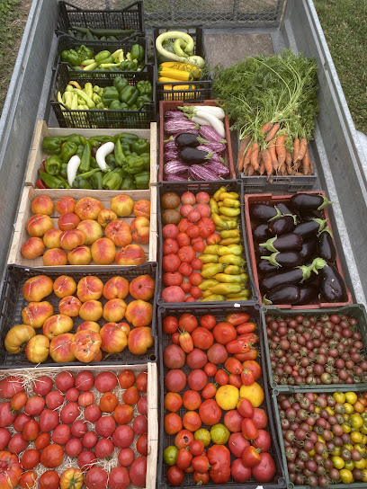 Les Jardins De Poppy - Légumes En Agriculture Biologique, Primeur - Fruits Et Légumes à l' Isle-d'Espagnac