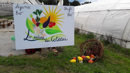 Les Jardins Du Coteau, Primeur Fruits et Légumes à Saint-Cassien