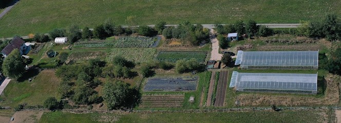 Ury Olivier  Jardin des Liens, Primeur Fruits et Légumes à Suarce