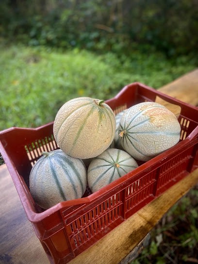 Les Jardins de Firmin, Primeur Fruits et Légumes à Liancourt-Fosse
