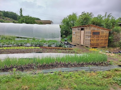 La Jouliette, Primeur Fruits et Légumes à Ségura