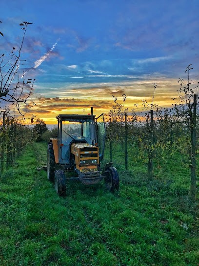 Au jardin de l'Artois, Primeur Fruits et Légumes à Neuville-Vitasse