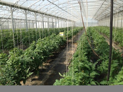 Bio La Damotte, Primeur Fruits et Légumes à La Bruyère