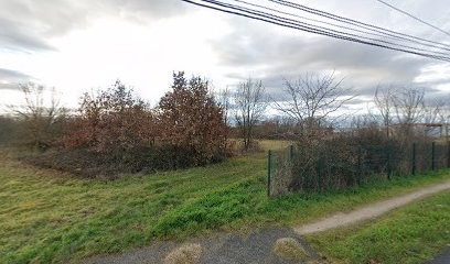 Mister Champi, Primeur Fruits et Légumes à Noé