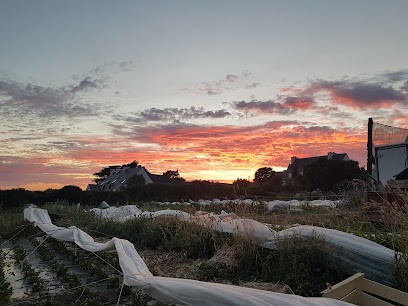 Le Petit Potager, Primeur Fruits et Légumes à Carnac
