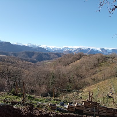 AILES EAU LA TERRE, Primeur Fruits et Légumes à Tardets-Sorholus