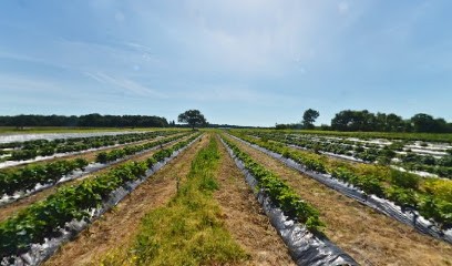 Les Jardins De Perreux, Primeur Fruits et Légumes à Charny Orée de Puisaye